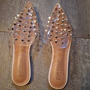 Cape Robin slides 8.5